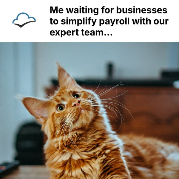 Don’t worry if you struggle with payroll management. it happens to all of us.