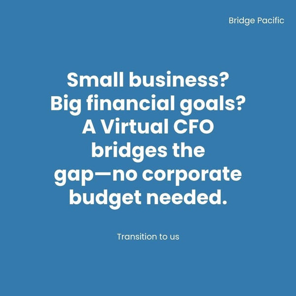 Think a CFO is only for big corporations?