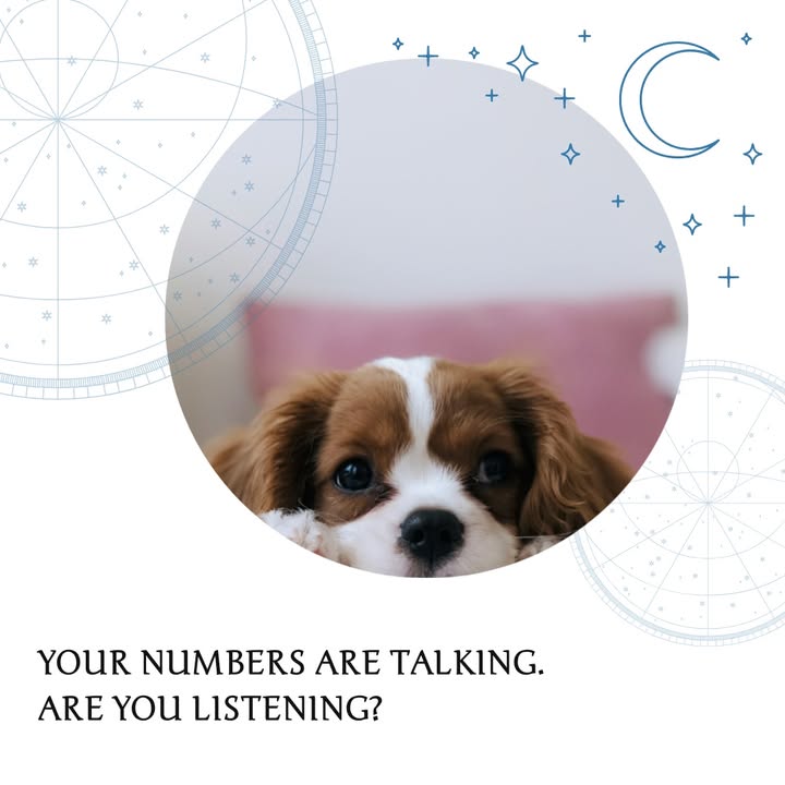 Feeling lost in your business numbers?