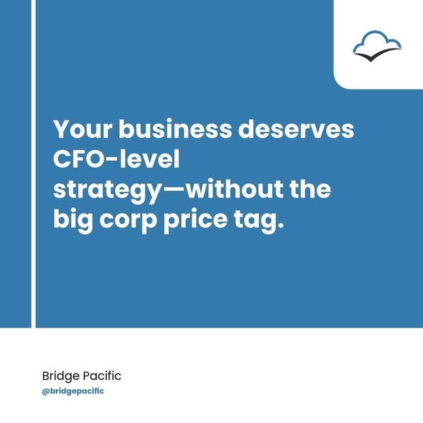 Think a CFO is only for big corporations? Think again
