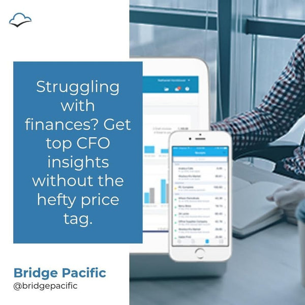 Struggling with financial decisions? A Virtual CFO brings expert insights without the full-time cost
